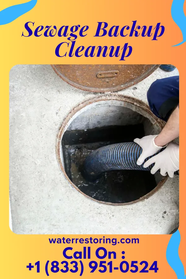Sewage Backup Cleanup in Cochrane, WI