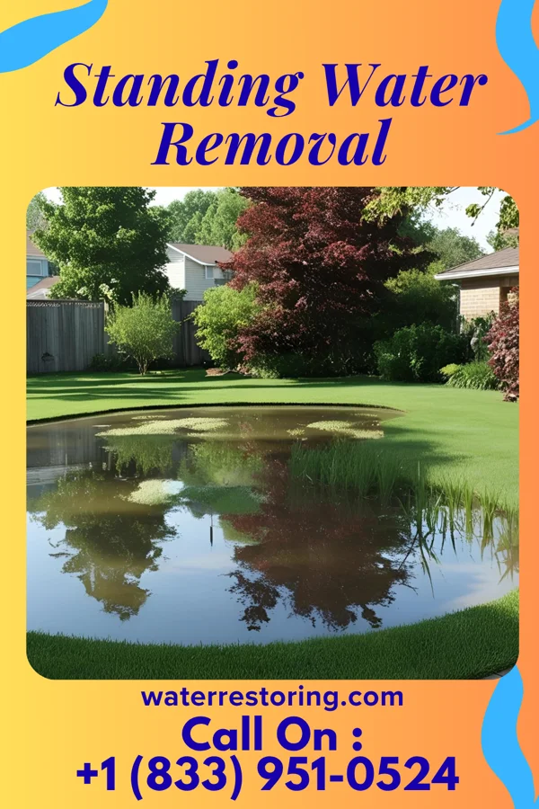 Standing Water Removal in Cochrane, WI
